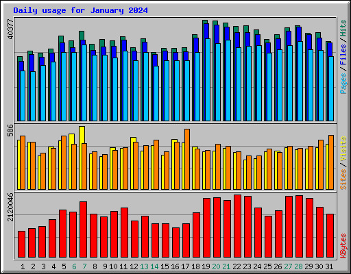 Daily usage for January 2024