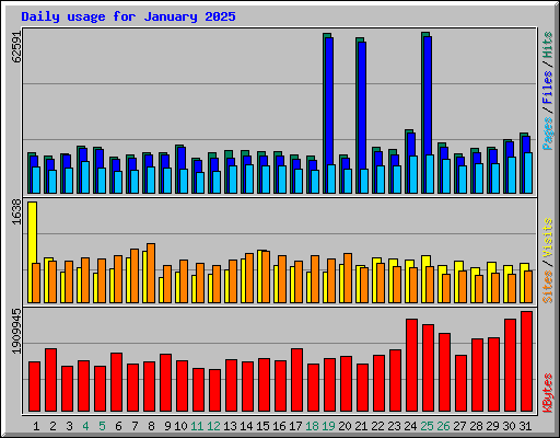 Daily usage for January 2025