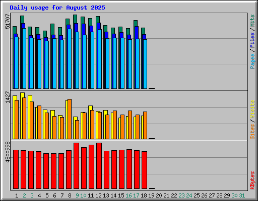 Daily usage for August 2025