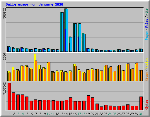 Daily usage for January 2026