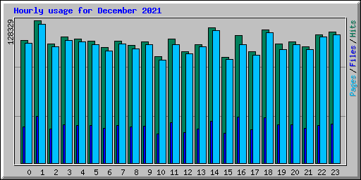 Hourly usage for December 2021