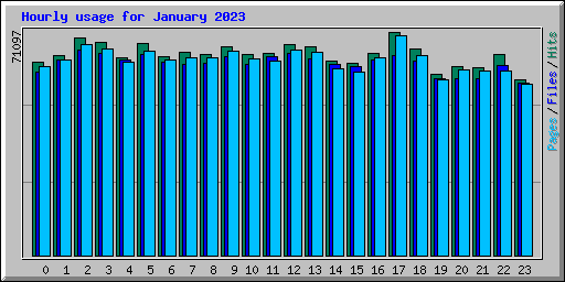 Hourly usage for January 2023