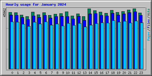 Hourly usage for January 2024