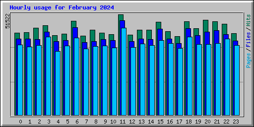 Hourly usage for February 2024