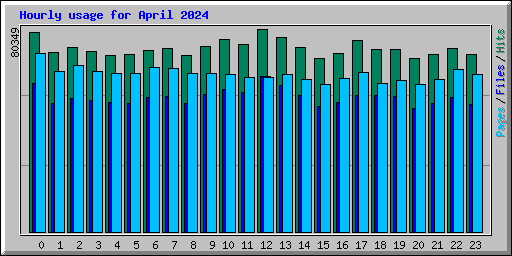 Hourly usage for April 2024