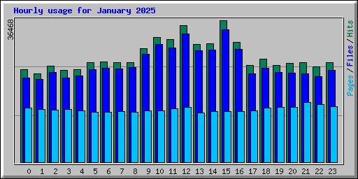 Hourly usage for January 2025