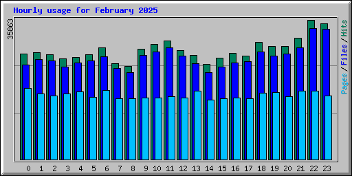 Hourly usage for February 2025