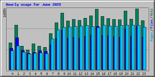 Hourly usage for June 2025
