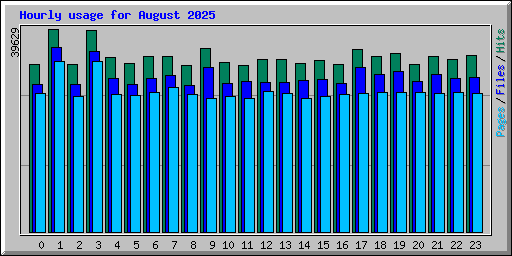 Hourly usage for August 2025