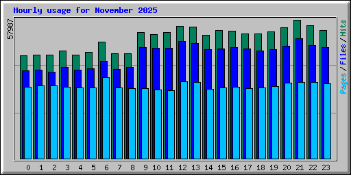 Hourly usage for November 2025